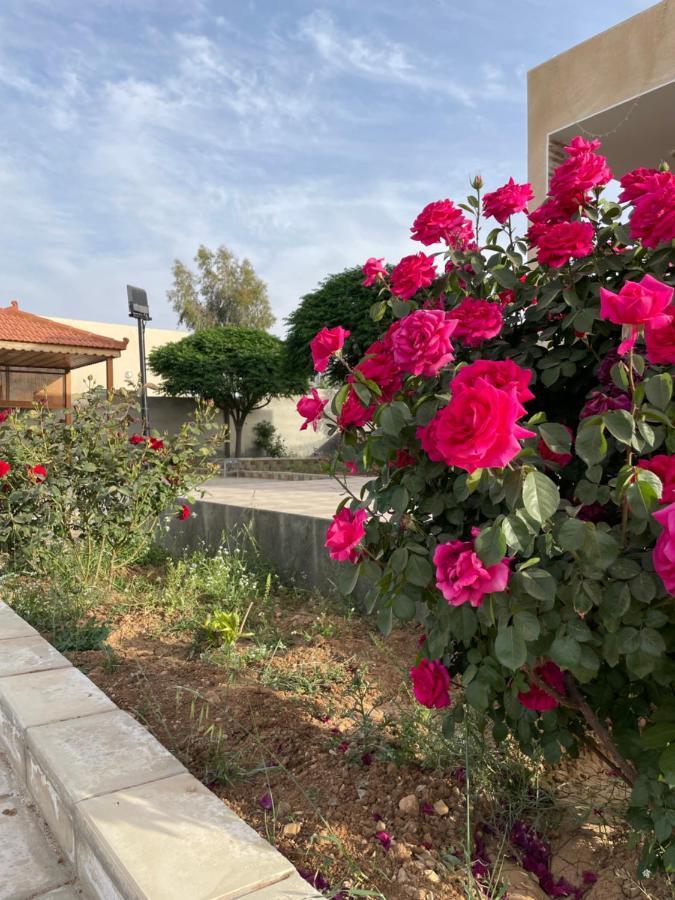 Villa مزرعة النجم Najem Farm Al-Qasr Exterior foto