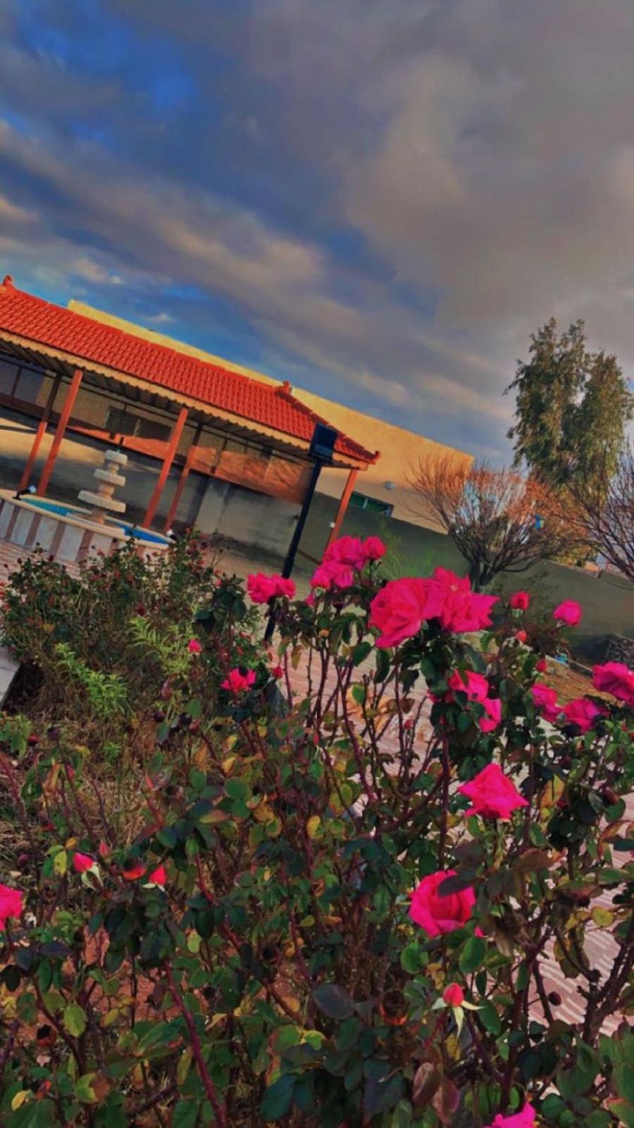 Villa مزرعة النجم Najem Farm Al-Qasr Exterior foto