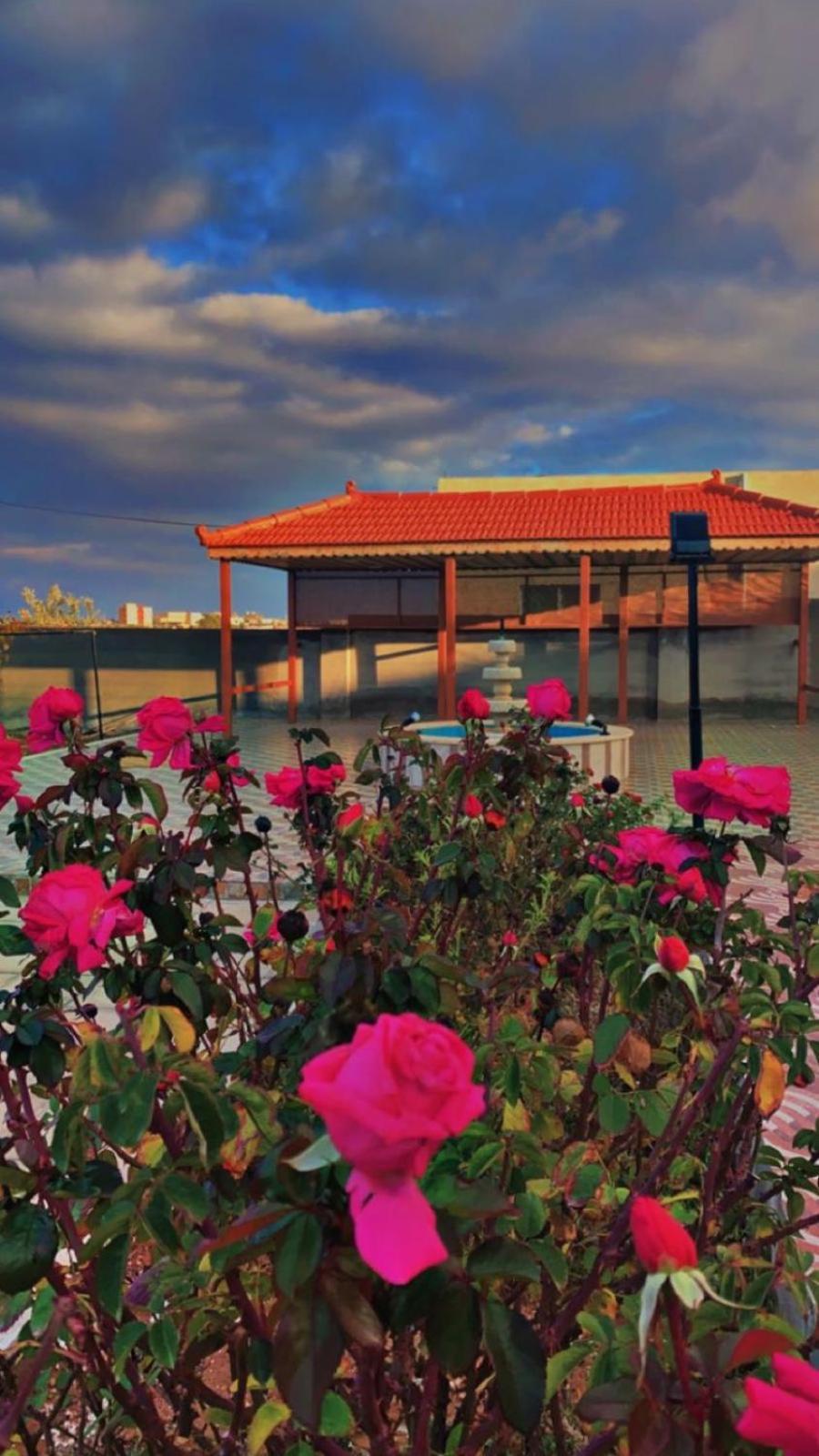 Villa مزرعة النجم Najem Farm Al-Qasr Exterior foto